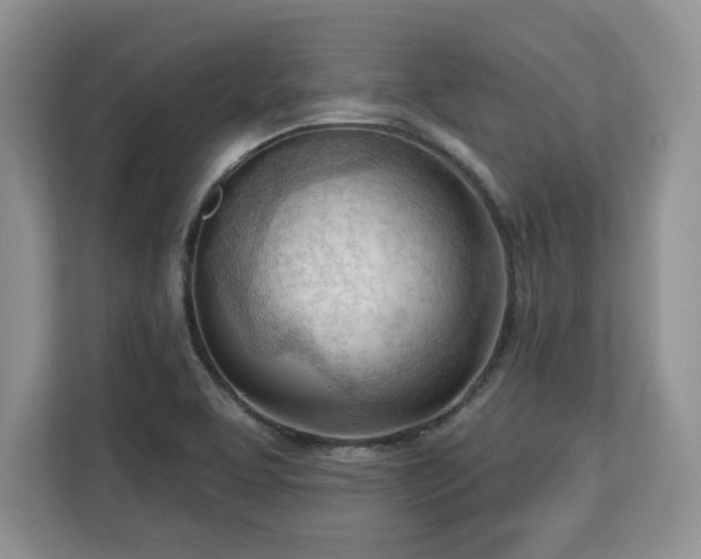 X0000113131463200909110904