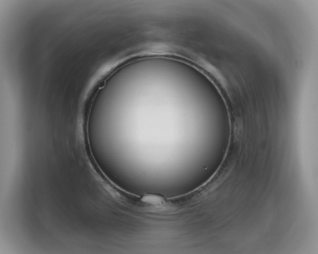 X0000113131464200909110904