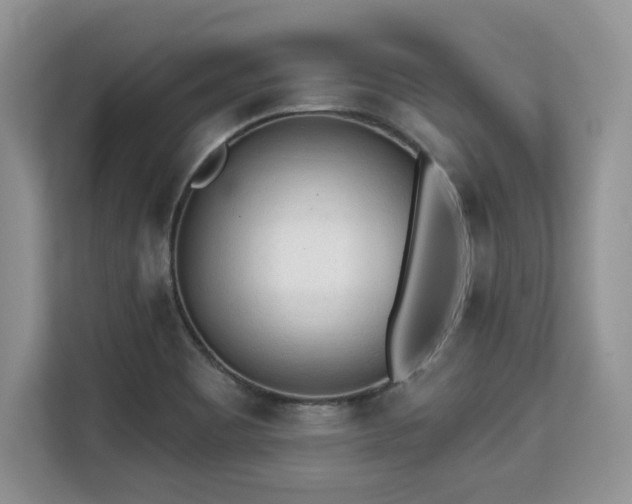 X0000113131465200909110904