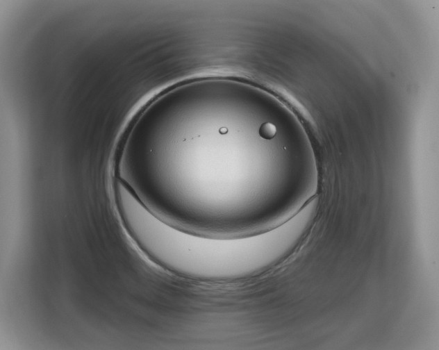 X0000113131468200909110904