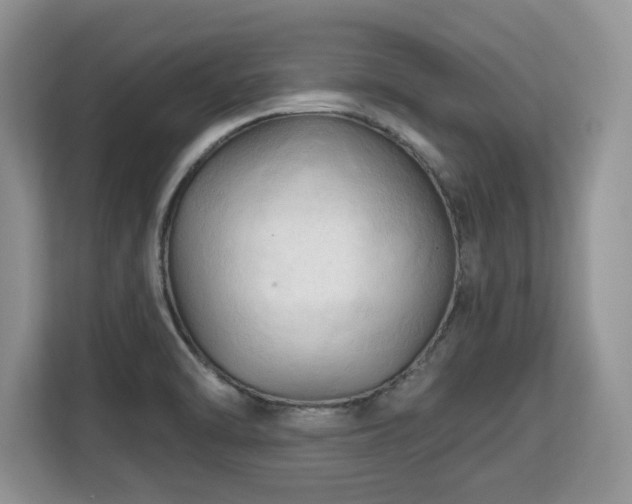 X0000113131470200909110904