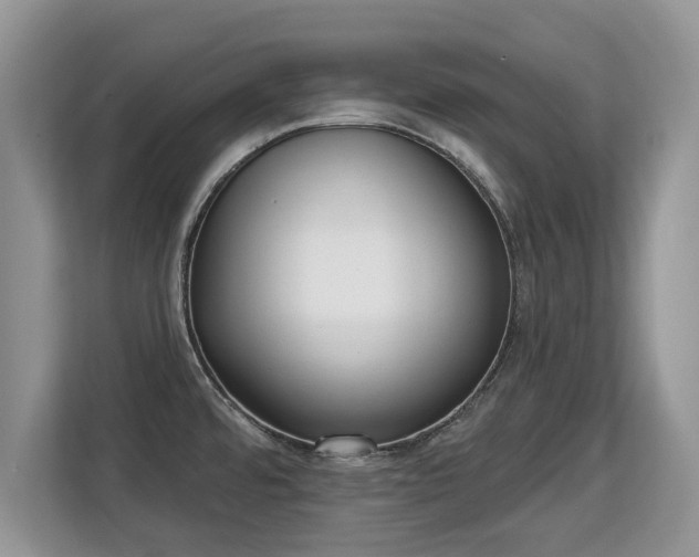 X0000113131480200909110904