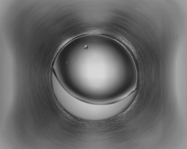 X0000113131481200909110904