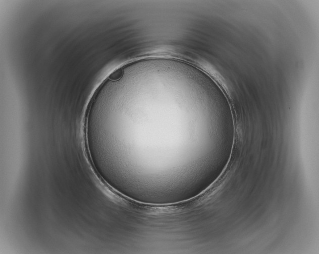 X0000113131482200909110904