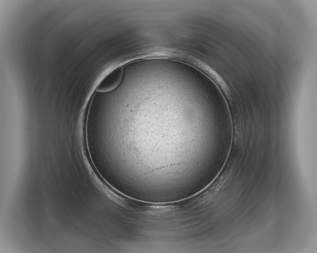 X0000113131483200909110904