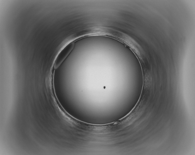 X0000113131484200909110904