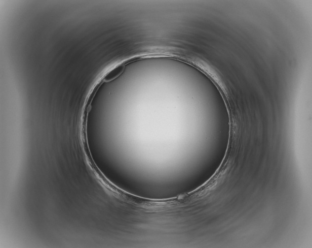 X0000113131485200909110904