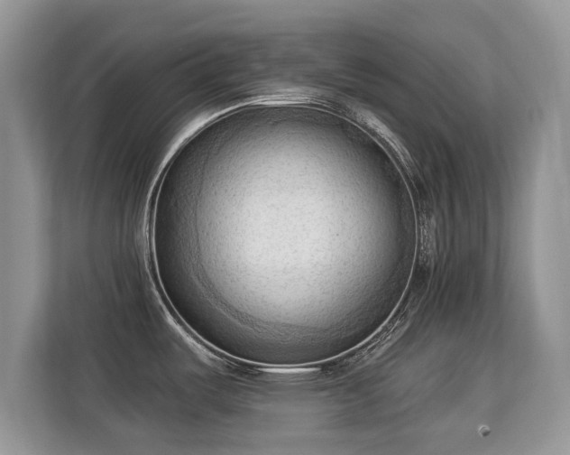 X0000113131487200909110904