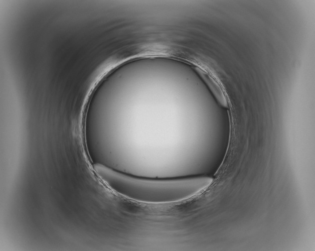 X0000113131488200909110904