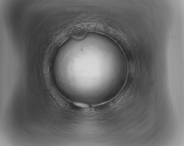 X0000113131489200909110903