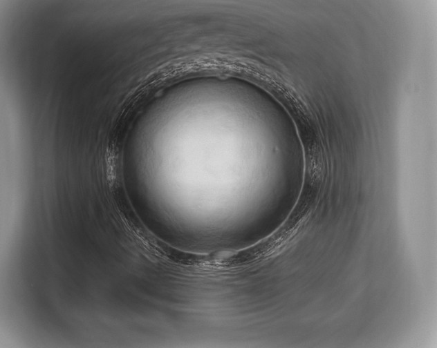 X0000113131490200909110903