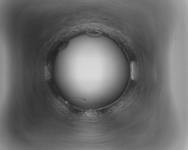X0000113131491200909110903