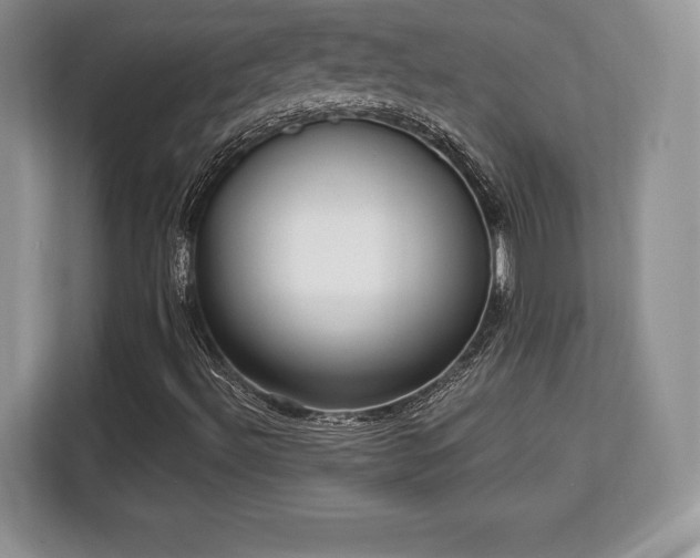 X0000113131492200909110903