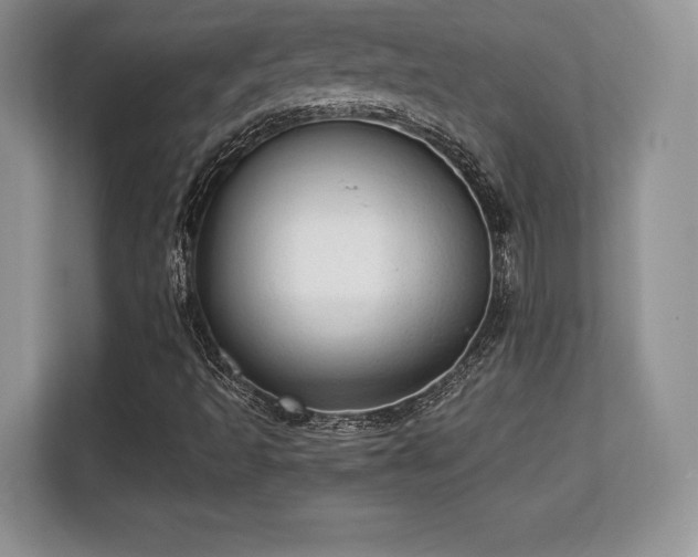 X0000113131493200909110903