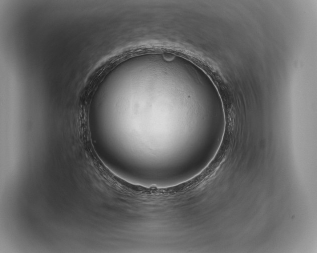 X0000113131494200909110903
