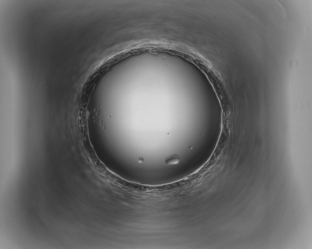 X0000113131496200909110903