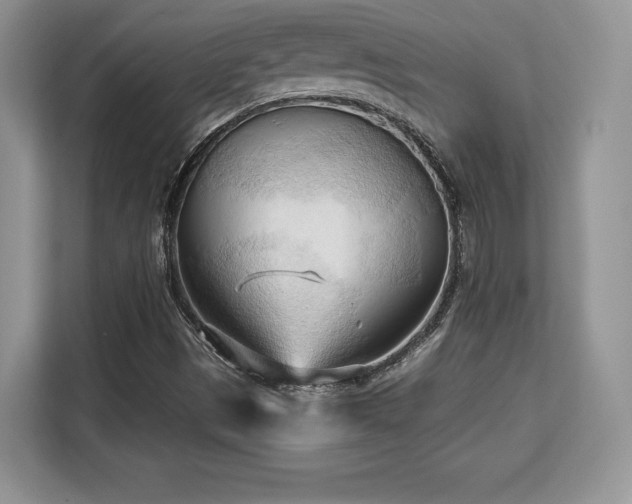 X0000113131497200909110903