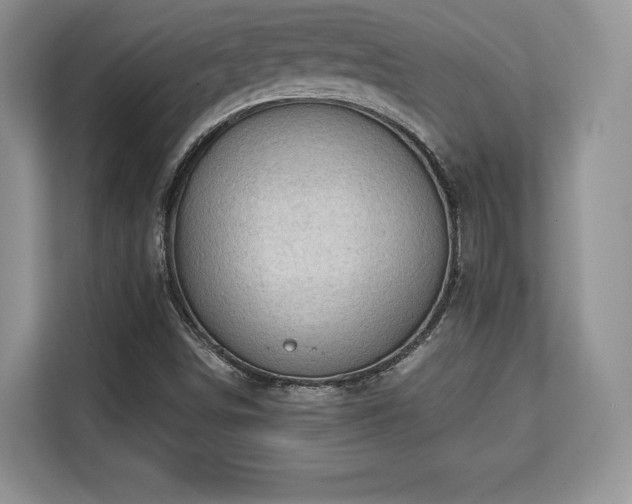 X0000113131498200909110903