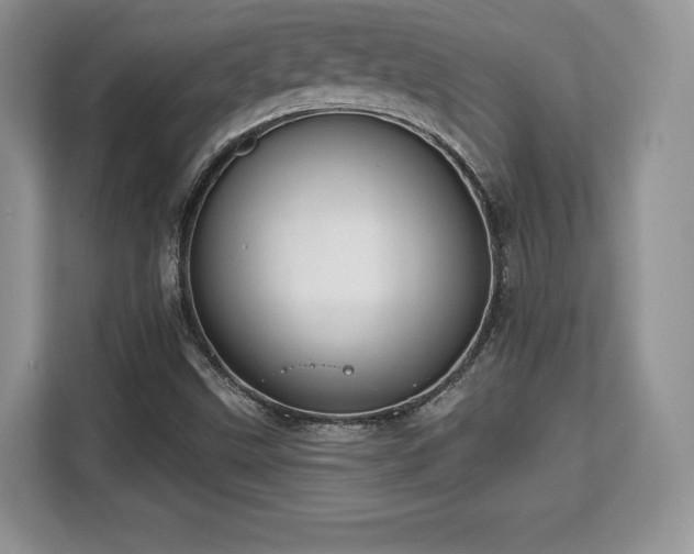 X0000113131499200909110903