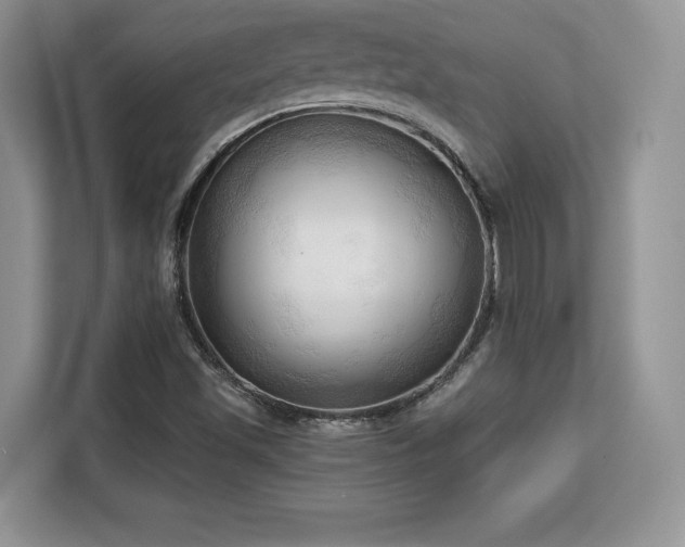 X0000113131501200909110903