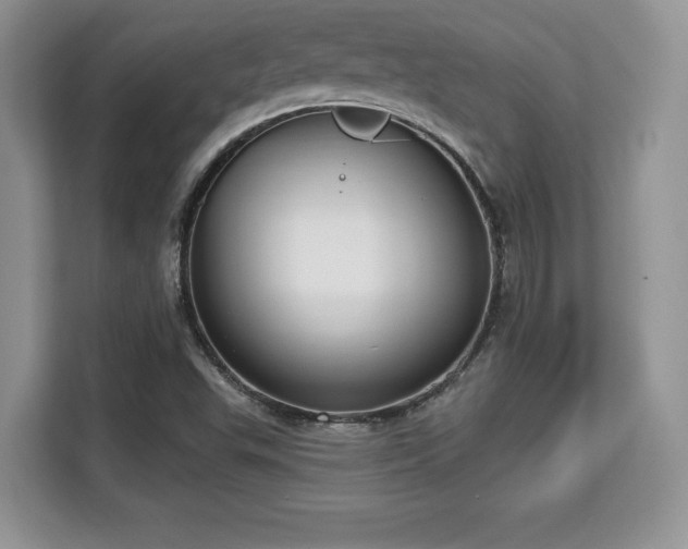 X0000113131503200909110903