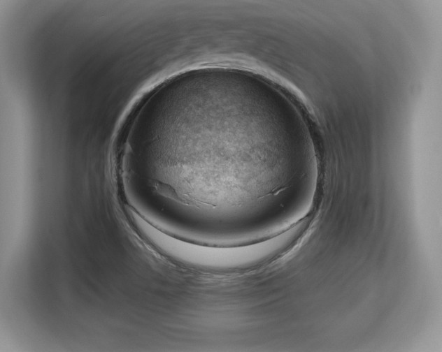 X0000113131506200909110903