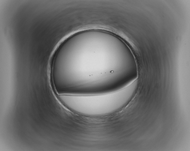 X0000113131508200909110903