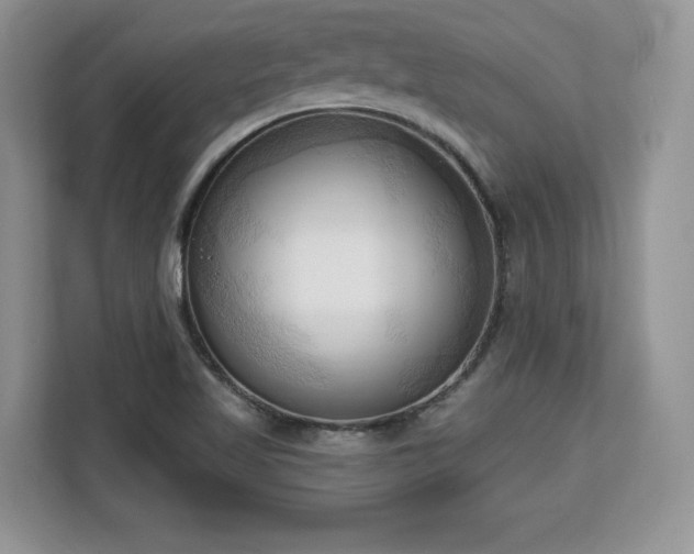 X0000113131509200909110903