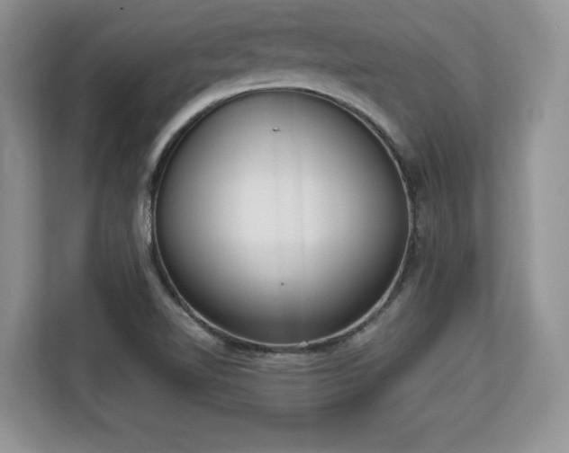 X0000113131510200909110903