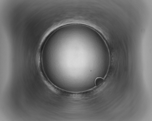 X0000113131511200909110903