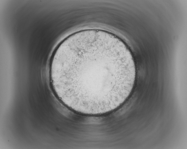 X0000113131514200909110904