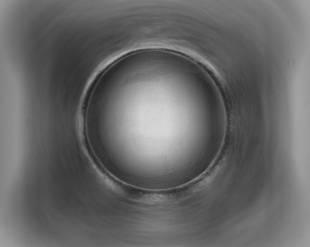 X0000113131517200909110904