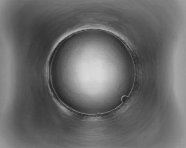 X0000113131519200909110904