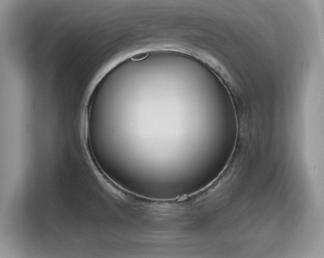 X0000113131520200909110904