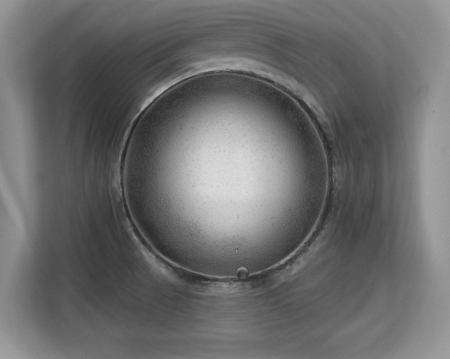 X0000113131521200909110904
