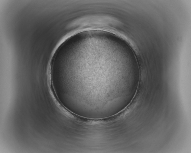 X0000113131522200909110904