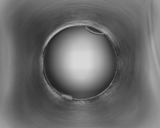 X0000113131524200909110904