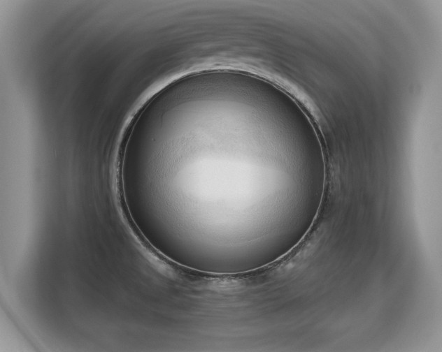 X0000113131525200909110904