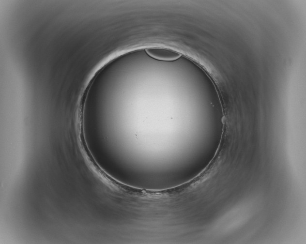 X0000113131526200909110904