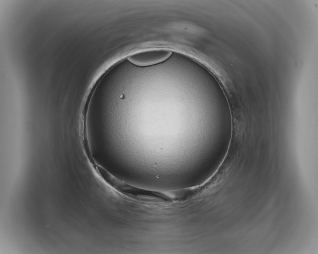X0000113131527200909110904