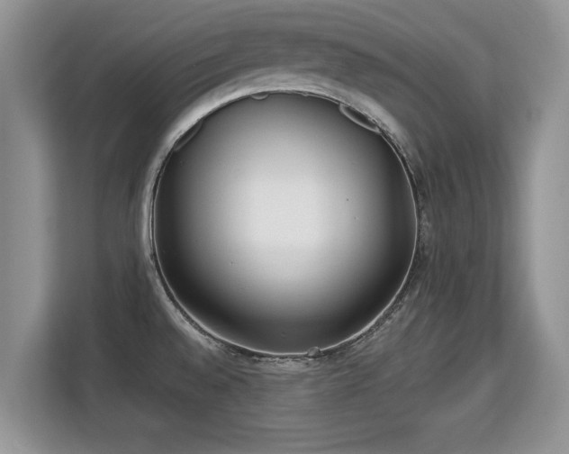 X0000113131528200909110904