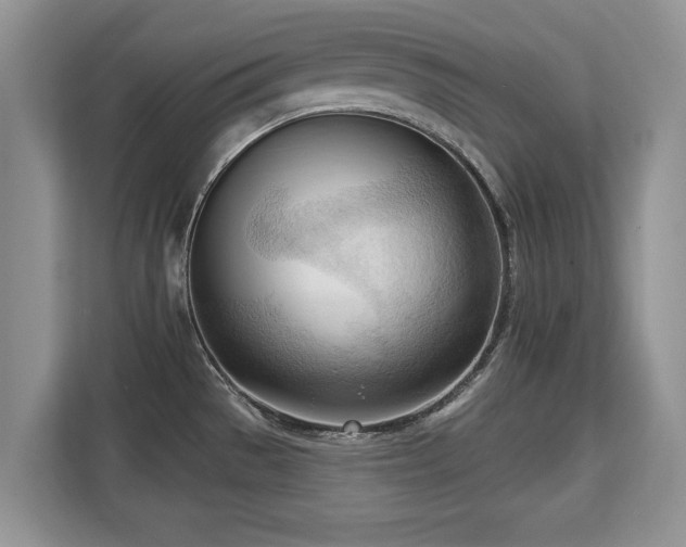 X0000113131529200909110904