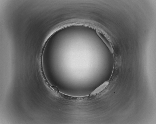 X0000113131530200909110904