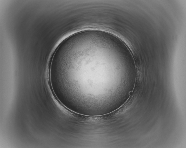X0000113131531200909110904