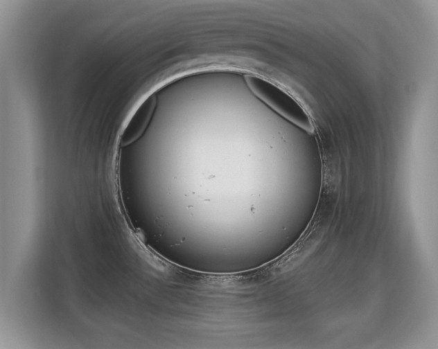 X0000113131532200909110904