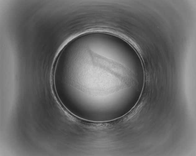 X0000113131533200909110904