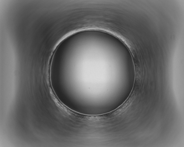 X0000113131534200909110904