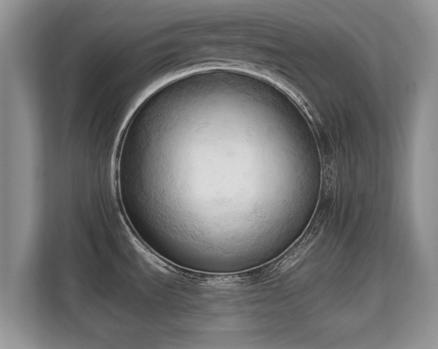 X0000113131535200909110904