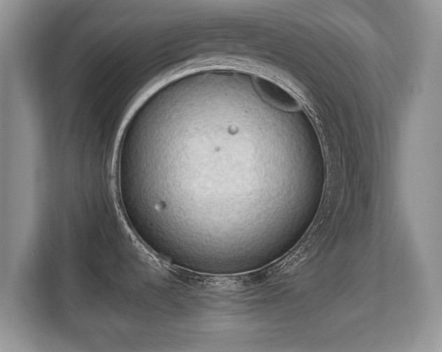 X0000113131536200909110904