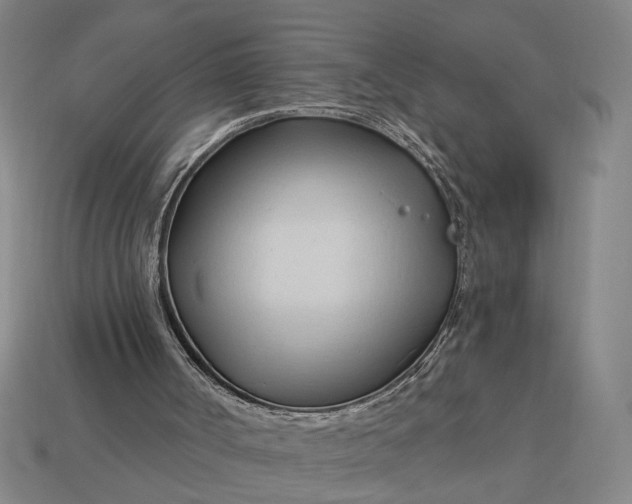 X0000113130002200909181718